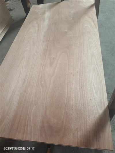 Hot Sale Commercial Plywood Finished Okoume/sapele/bintangor/oak